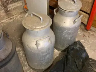 Mælkejunger - fire stk.