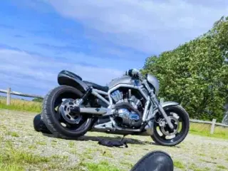 Harley Davidson v-rod VRSCA 