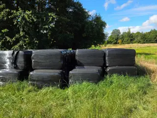 Økologisk kvalitets wraphø