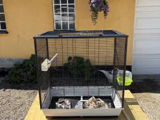 Flot fuglebur i sort