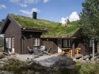 Rummelig bj�lkehytte i antik stil til leje p� Blefjell. H�j standard.