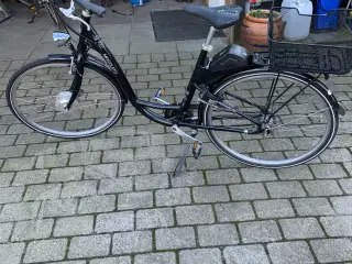 El dame cykel