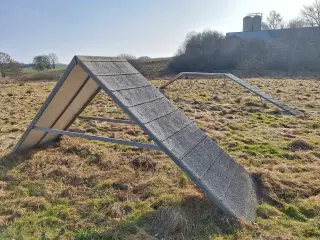 Agilityforhindringer 