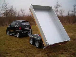 EDUARD  trailer 3116-2700.66 tip Manuel