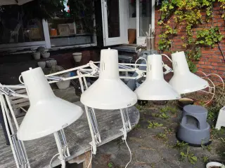 Fine mathvide arkitektlamper fra Luxo