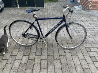 Citybike herrecykel