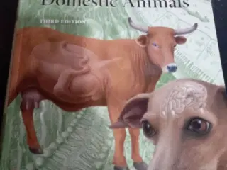 Physiology of Domestic Animals 