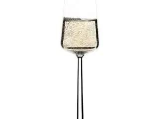 Iittala essence champagneglas