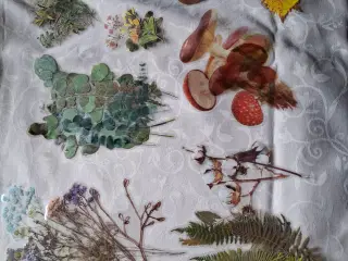 Hobby scrapbog/ journal tilbehør 