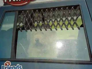 Hundegitter til bilvindue