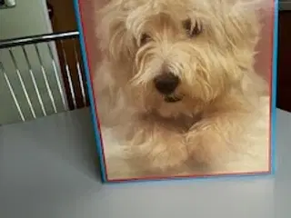 Puslespil