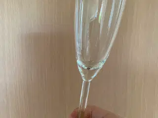 Champagneglas 