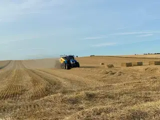 Halm i midi Big sælges 