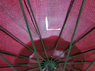 Parasol