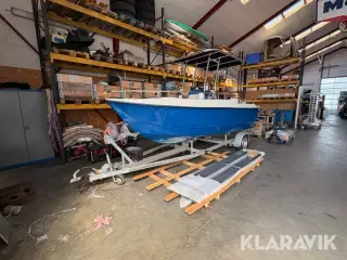 Båd Salmo 542