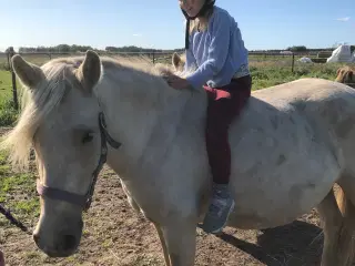 6 års pony hoppe
