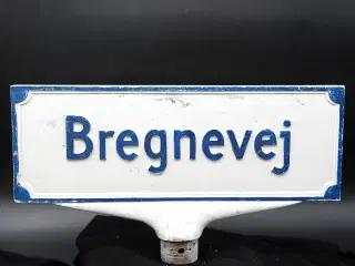 Vintage dansk vejskilt “Bregnevej” i aluminium