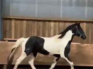 Smuk basse med waow effekt 