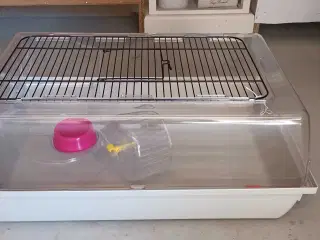 Bur til hamster