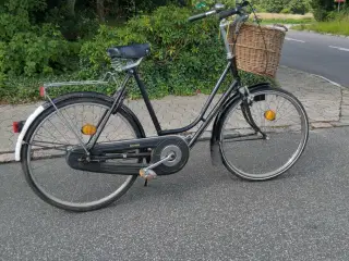 Raleigh 