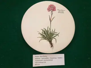 Platter, Flora Danica, Ø15 cm