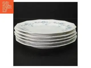 Porcelænstallerkener med blomstermotiv fra Rosenthal (str. 21,5x2 cm)