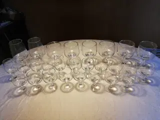 Mandalay glas rødvin, champagneskåle, øl m.m.