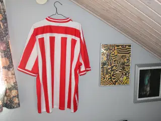 Sunderland Season 99-00