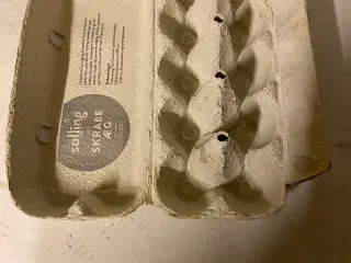 Æggebakke