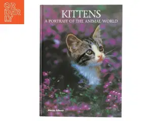 Kittens af Marcus Schneck (Bog)