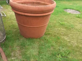 Stor urtepotte 