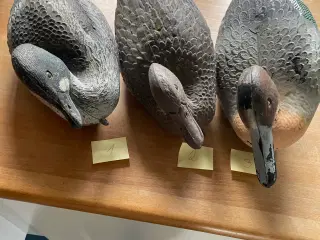Lokkeænder