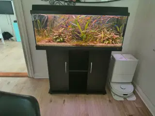 Juwel 180L akvarie