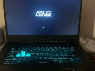 Asus Tuf Dash F15 (Billigt)