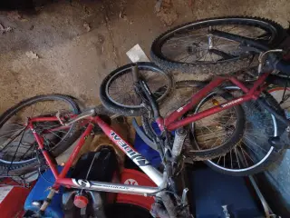 3 cykler hvor en er BMX