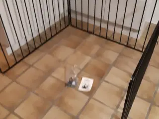 Morsø børnegitter 3-fløjet