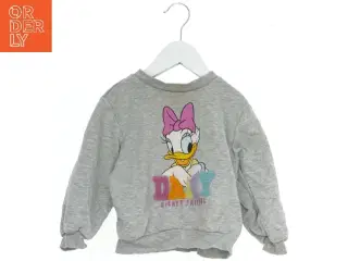 Grå sweatshirt med Daisy Duck motiv fra H&M (str. 92)