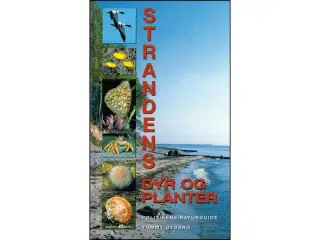 Skovens dyr og planter