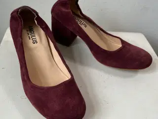 Angulus, pumps, str 37