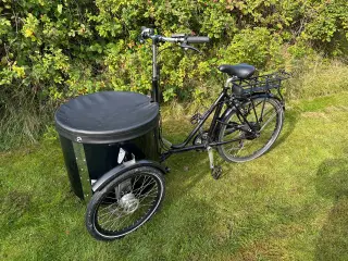 NIHOLA Low El ladcykel 