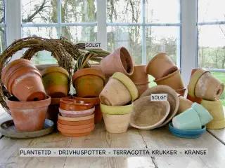 Gamle urtepotter - Rødlerspotter - Potter - Plante