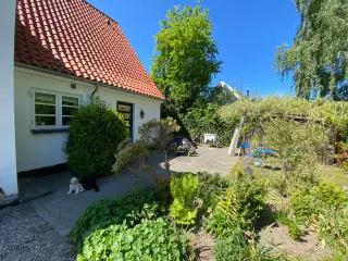 Herregårdssten- gives væk - Holte