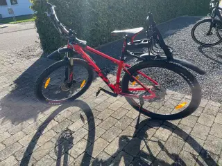 Cykel 