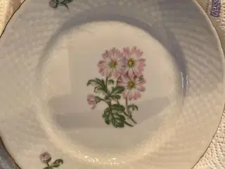 Chrysanthemum Frokosttallerkner