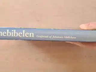 Børnebibelen - genfortalt af Johannes Møllehave