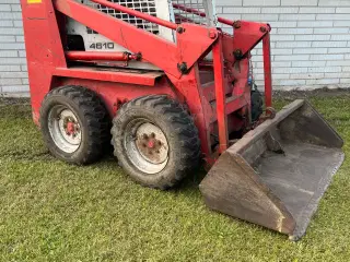 Bobcat