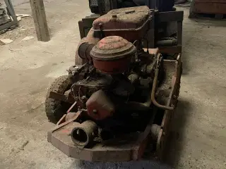 Pladevibrator, veteran