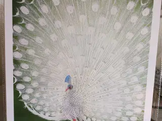 7 fine plakater - 30x40 cm