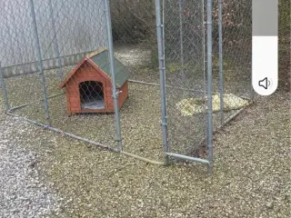 Hundegård/ hønsegård 