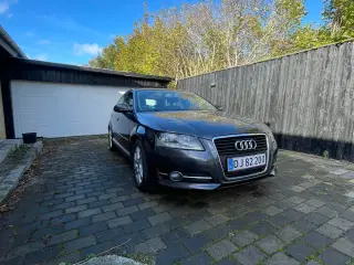 Audi A3 1,6 TDi Attraction Sportback